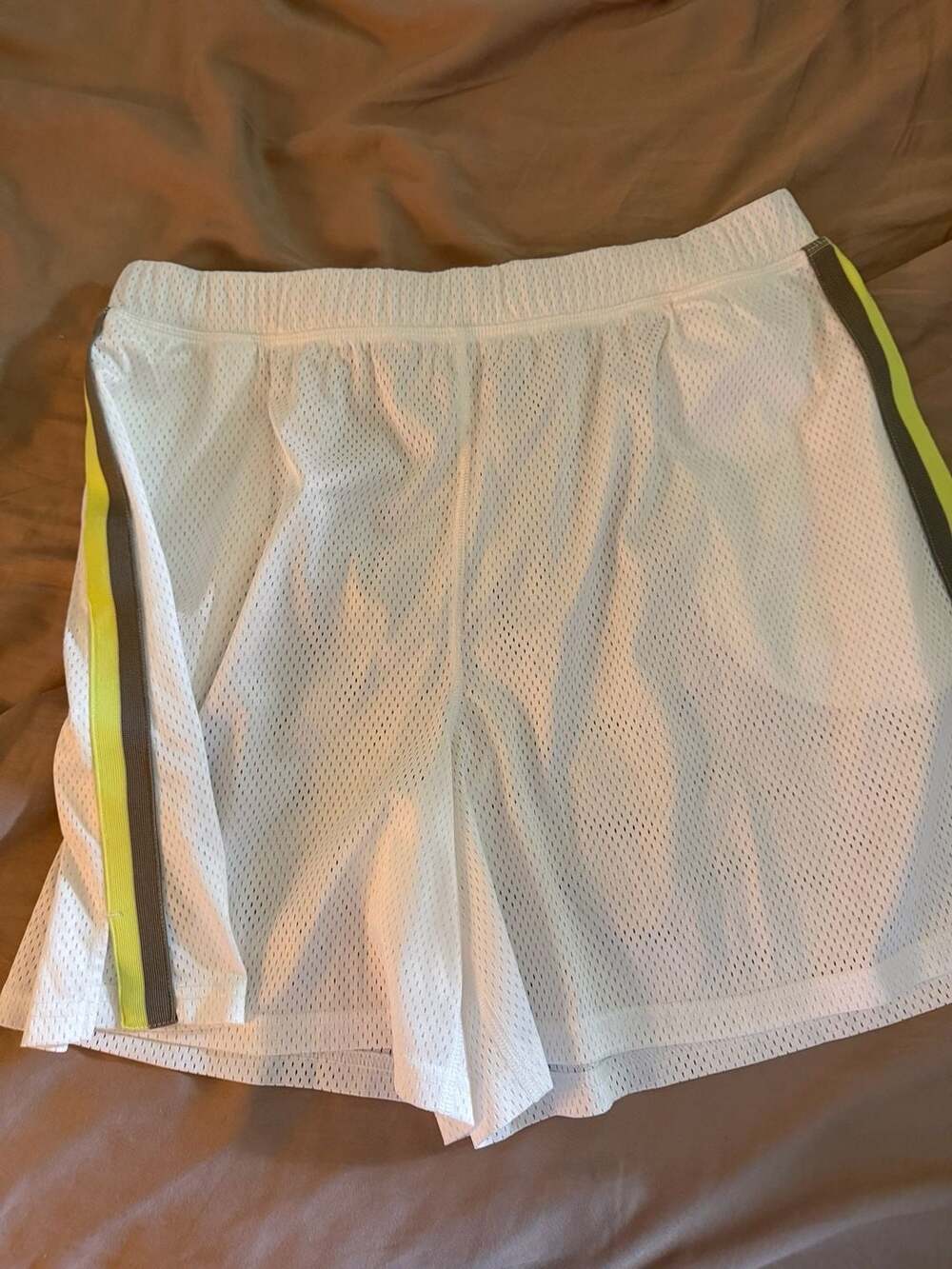 Free People When in Venice Mesh Shorts